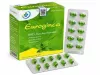 Viên Ho Euroginca Xanh Hộp 100 Viên